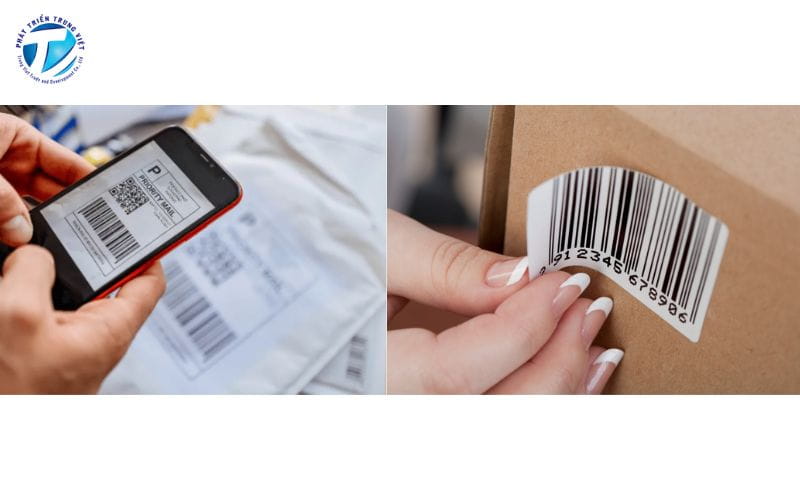 Lưu ý về kích thước, màu sắc và vị trí in mã vạch